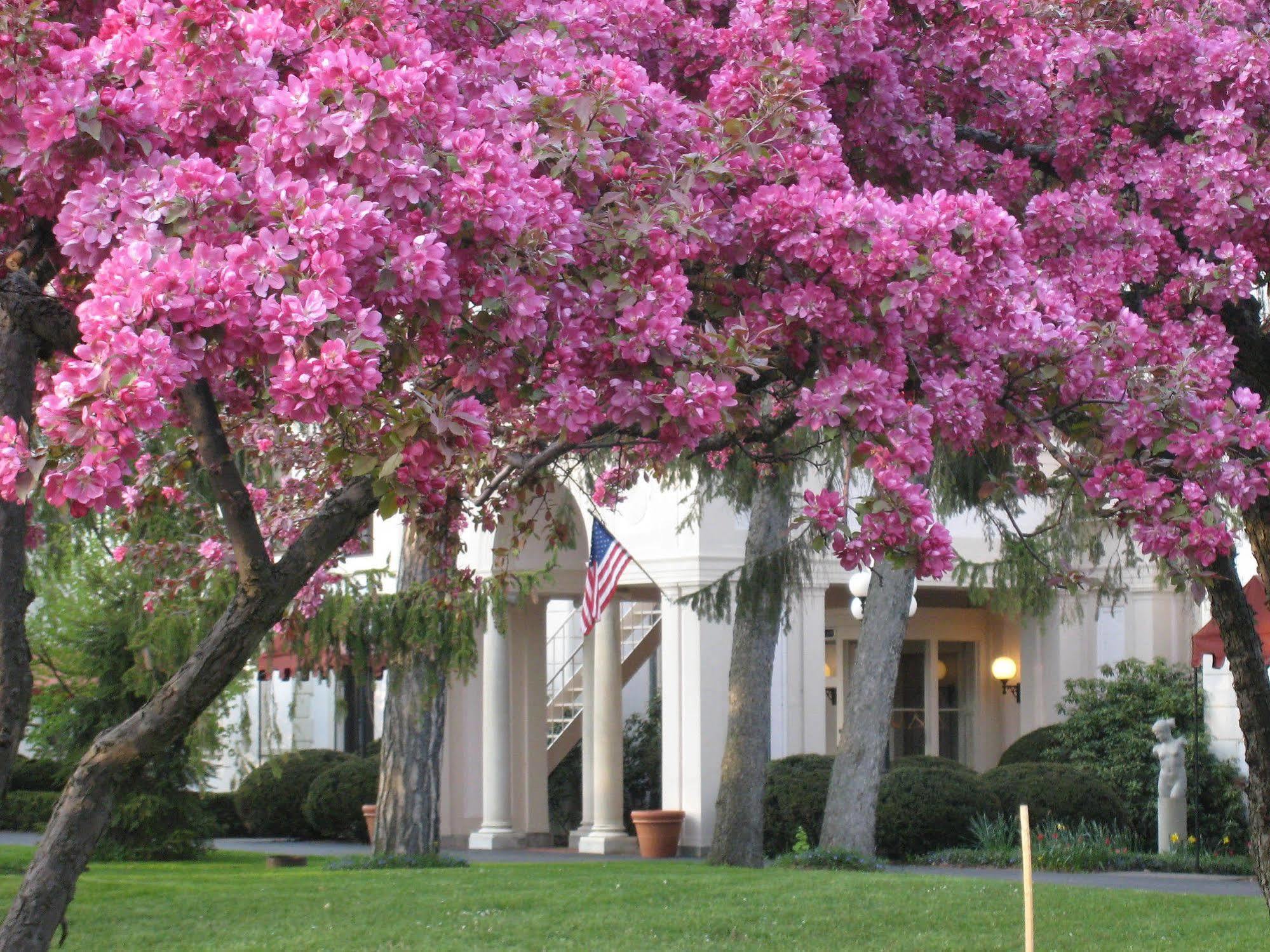 Geneva On The Lake Boutique Resort Hotel Exterior photo